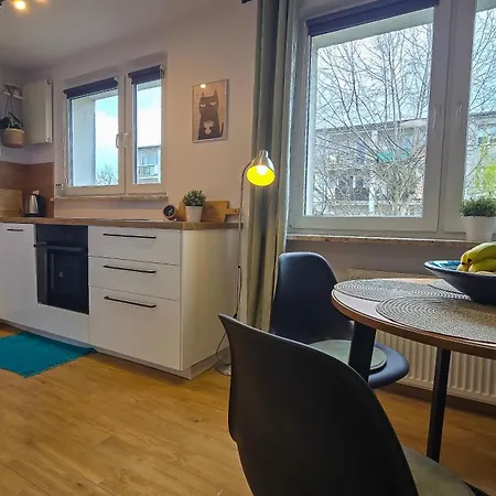 Apartman Fru Art - Atlas Arena, Orientarium, Zoo, Aquapark, Wejscie Na Kod - Self Check In - Kaliska, Lotnisko, Klub Wytwornia - Wszedzie Blisko Łódź